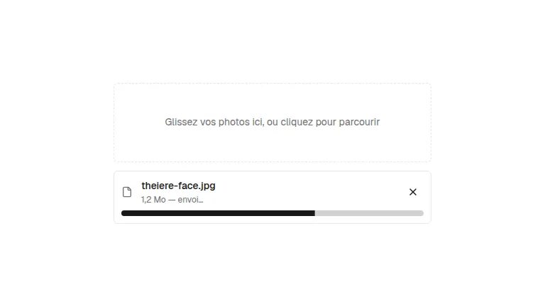 The file-upload component