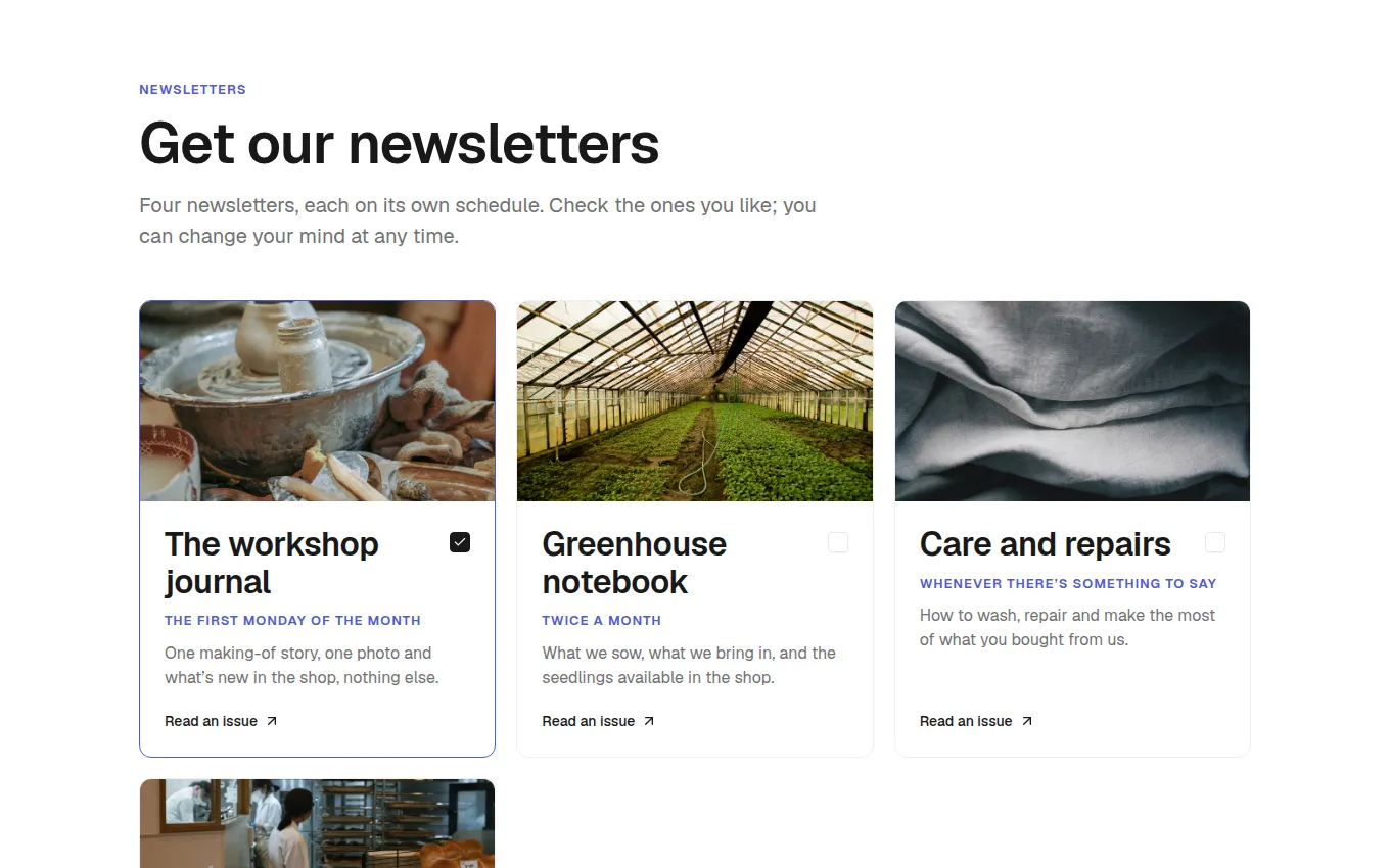 The NewsletterHub block